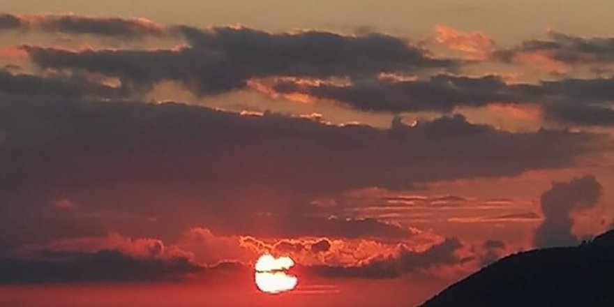 Altınordu Selimiye Köyü Resimleri