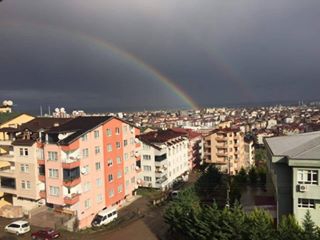 Altınordu Şahincili Köyü Resimleri 1