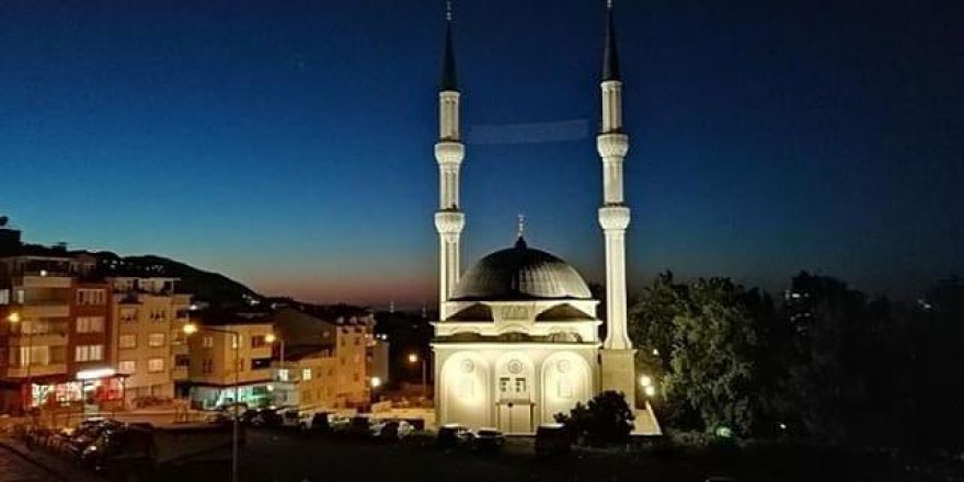 Altınordu Şahincili Köyü Resimleri