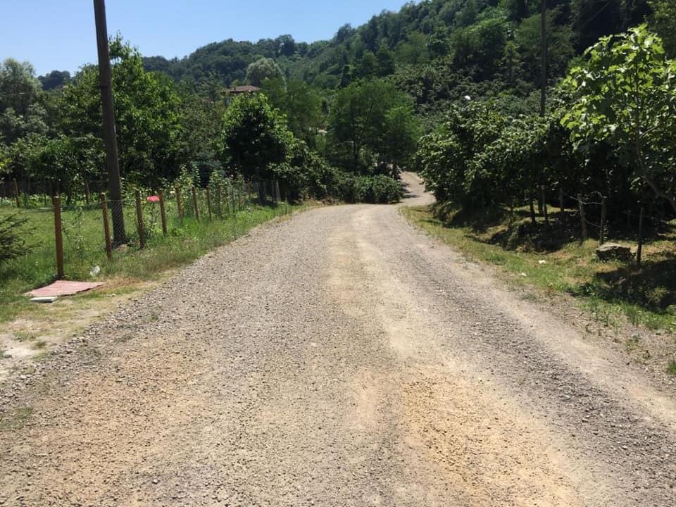 Altınordu Şenköy Köyü Resimleri 2