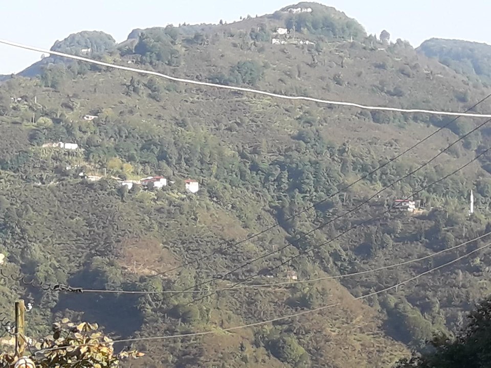 Altınordu Şenocak  Köyü Resimleri 3