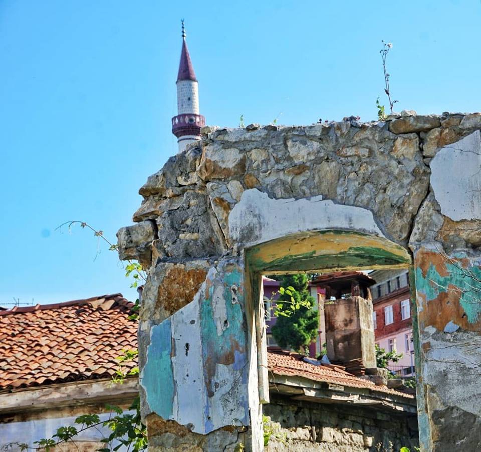 Altınordu Taşbaşı Köyü Resimleri 2