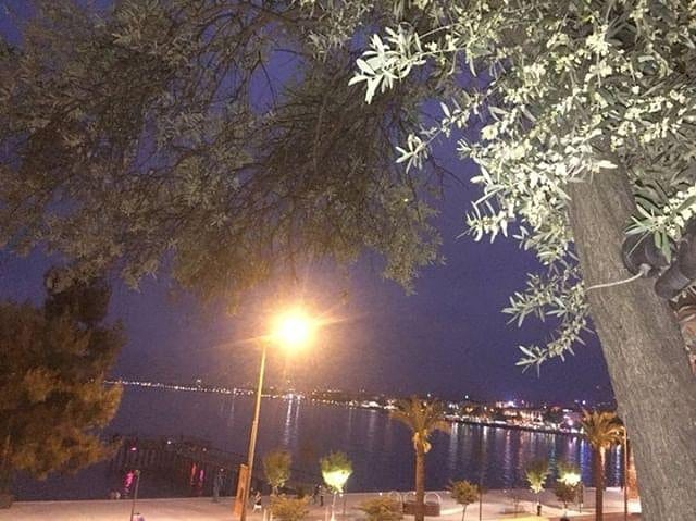 Altınordu Taşbaşı Köyü Resimleri 3