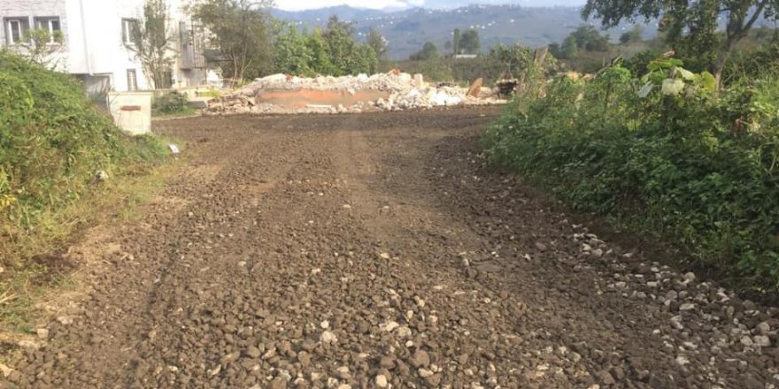 Altınordu Terzili Köyü Resimleri