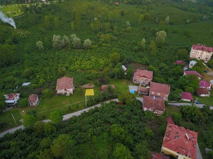 Altınordu Teyneli Köyü Resimleri 4