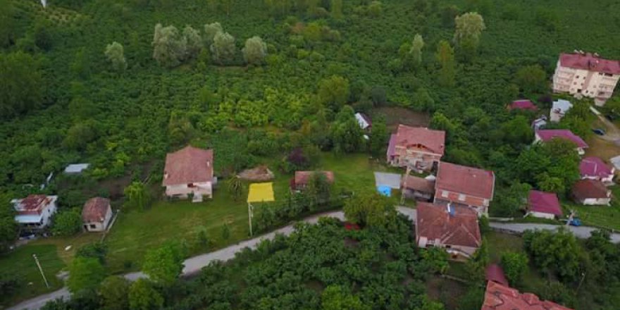 Altınordu Teyneli Köyü Resimleri