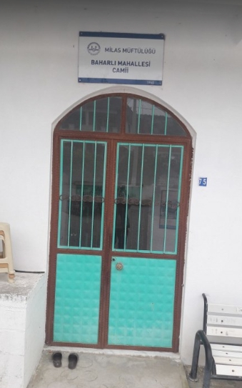 Milas Baharlı Köyü Resimleri 5