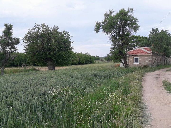 Enez Küçükevren Köyü Resimleri 6