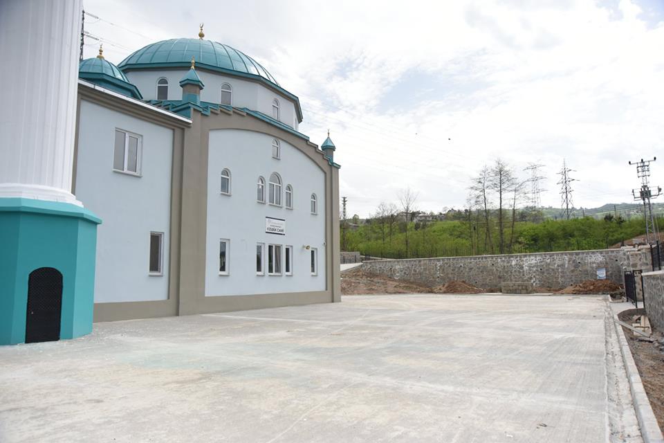 Altınordu Uzunisa  Köyü Resimleri 1