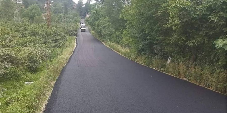 Altınordu Uzunisa  Köyü Resimleri