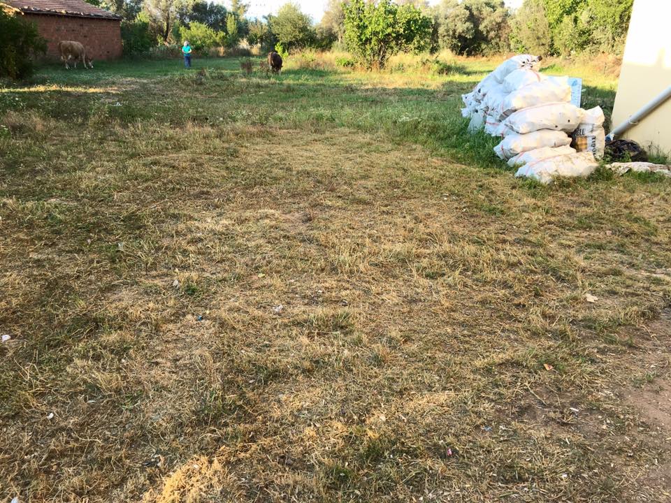 Milas Balcılar Köyü Resimleri 3