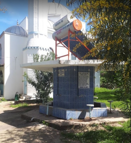 Milas Balcılar Köyü Resimleri 4