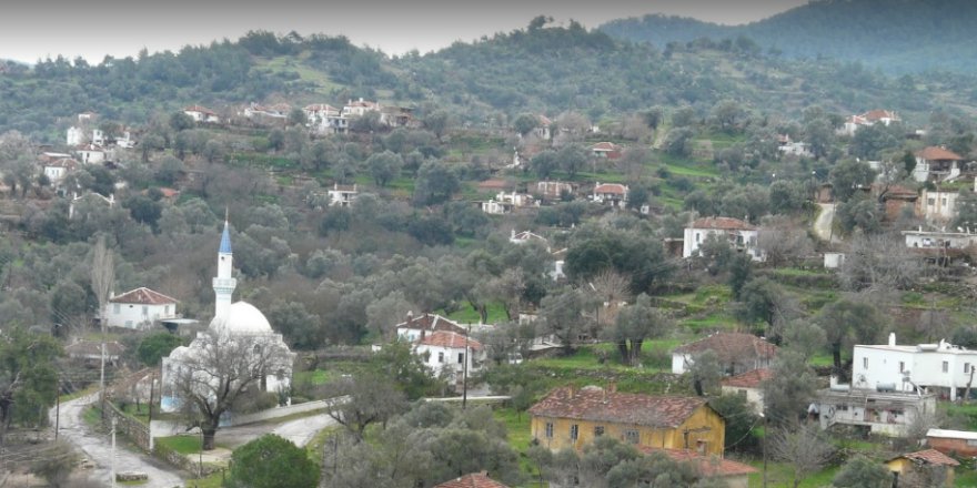 Milas Balcılar Köyü Resimleri