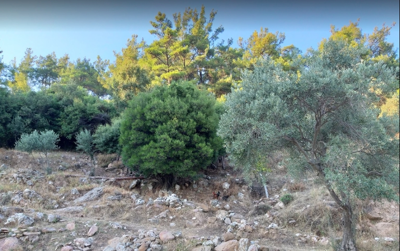 Milas Bayırköy Resimleri 1