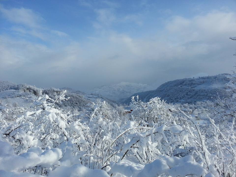 Altınordu Uzunmusa Köyü Resimleri 1