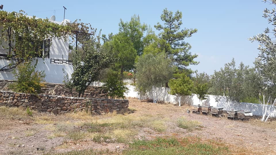 Milas Beyciler Köyü Resimleri 4