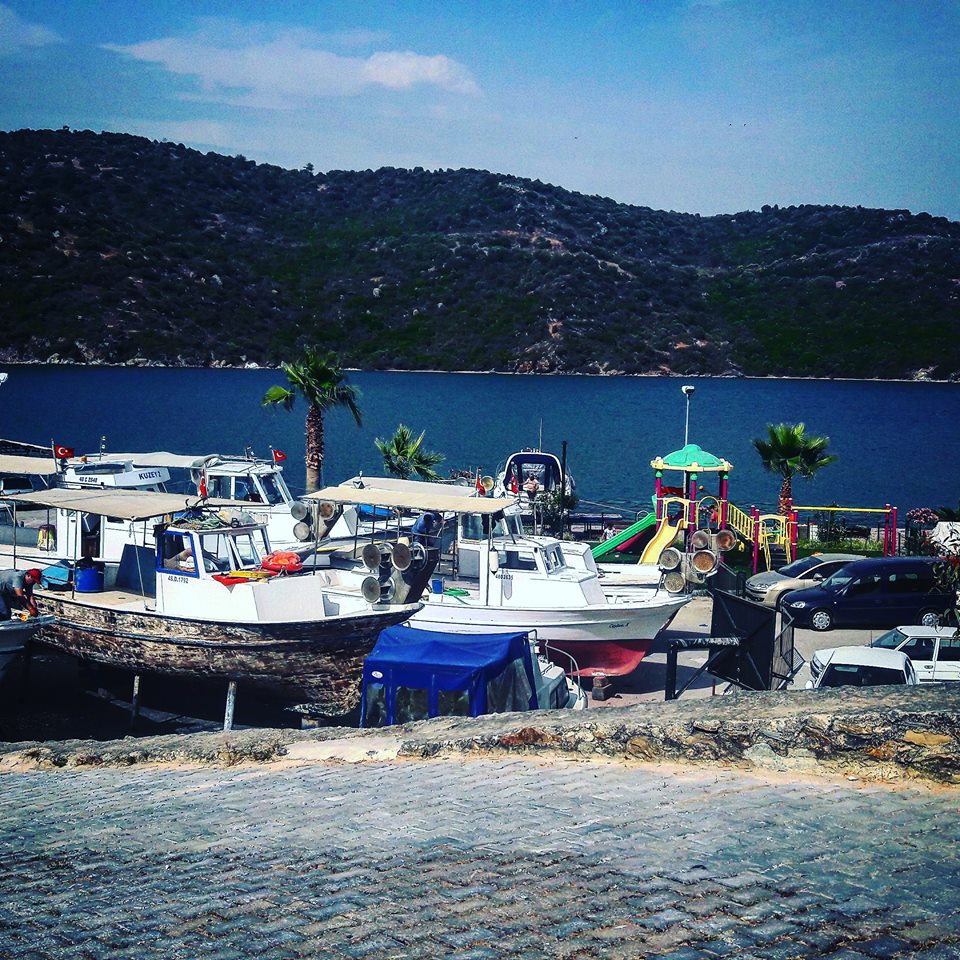 Milas Boğaziçi Köyü Resimleri 11