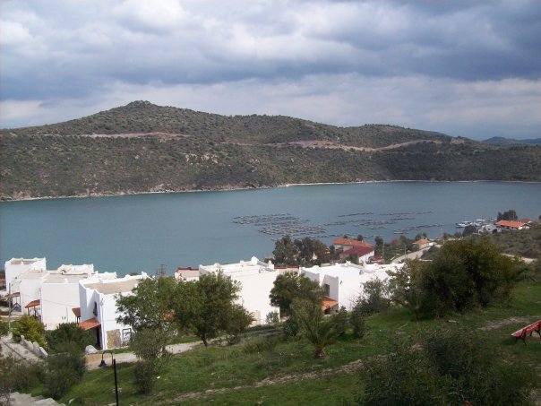 Milas Boğaziçi Köyü Resimleri 13