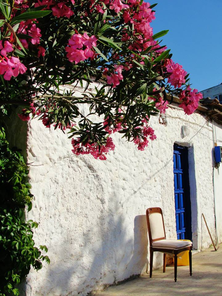 Milas Boğaziçi Köyü Resimleri 5