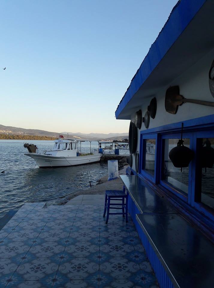 Milas Boğaziçi Köyü Resimleri 6