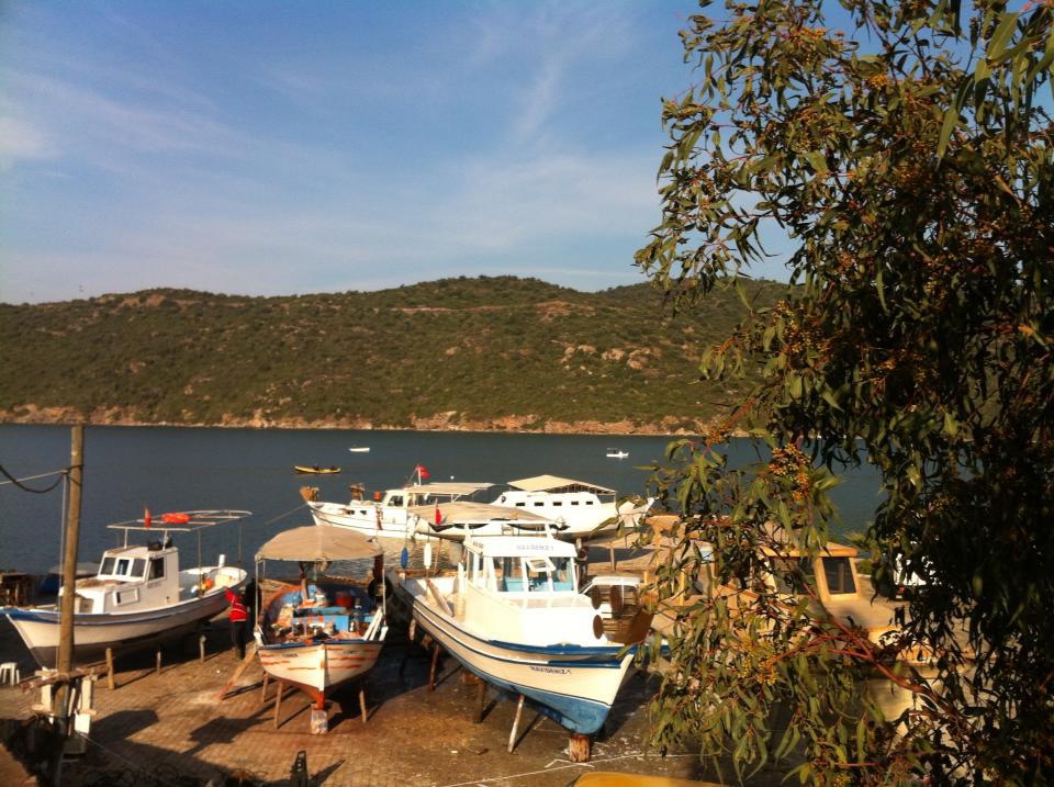 Milas Boğaziçi Köyü Resimleri 7