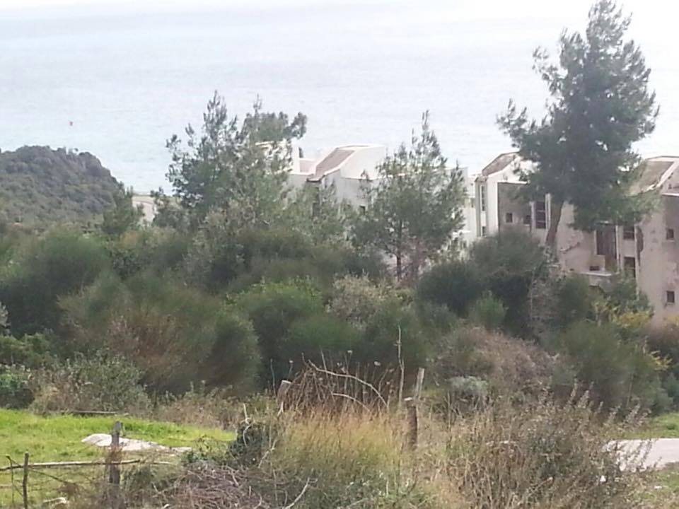 Milas Bozalan Köyü Resimleri 1