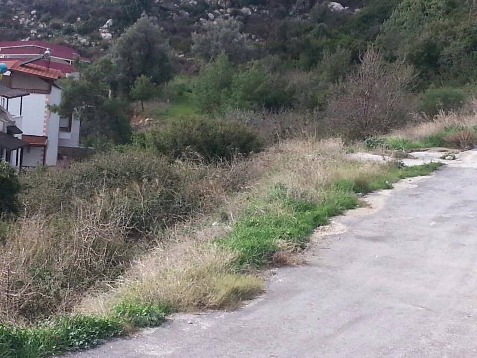 Milas Bozalan Köyü Resimleri 2