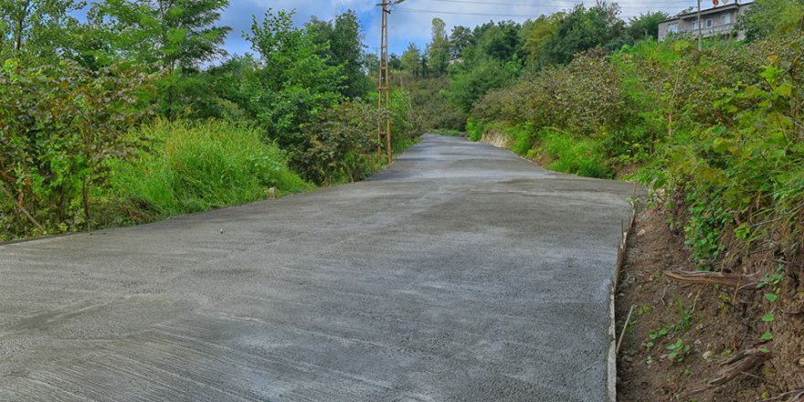 Altınordu Yağızlı Köyü Resimleri