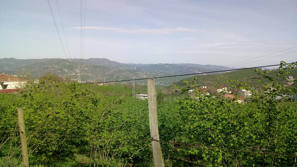 Altınordu Yaraşlı Köyü Resimleri 4