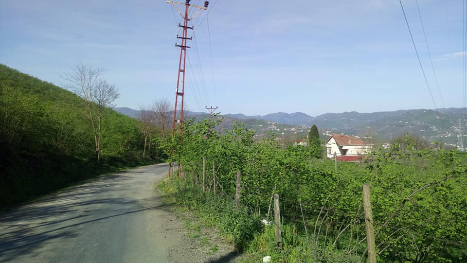 Altınordu Yaraşlı Köyü Resimleri 5