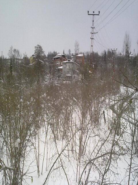 Altınordu Yemişli Köyü Resimleri 1