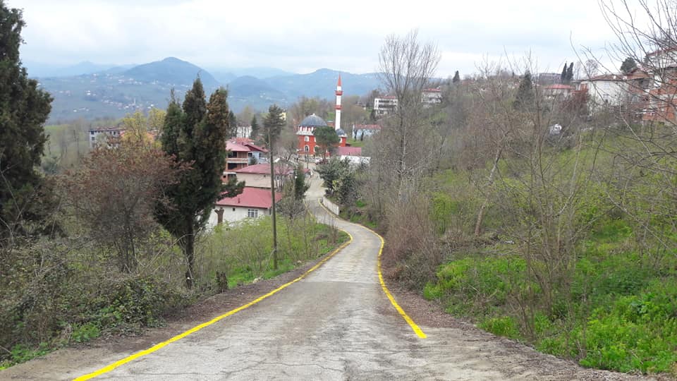 Altınordu Yemişli Köyü Resimleri 4