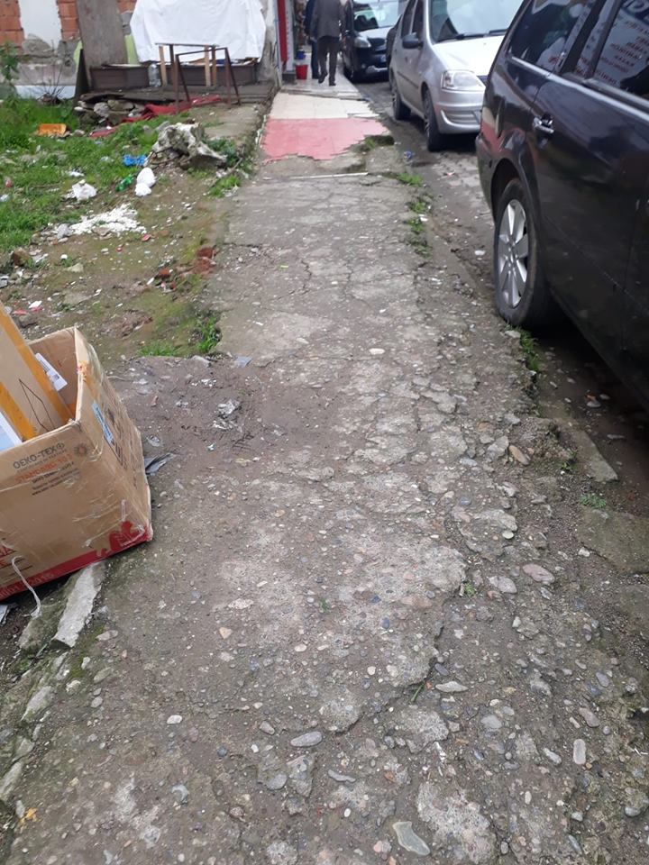 Altınordu Yenimahalle Köyü Resimleri 1