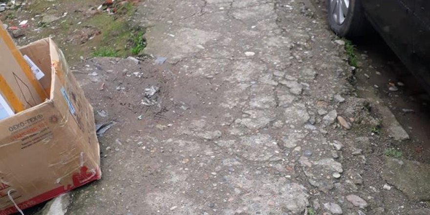 Altınordu Yenimahalle Köyü Resimleri