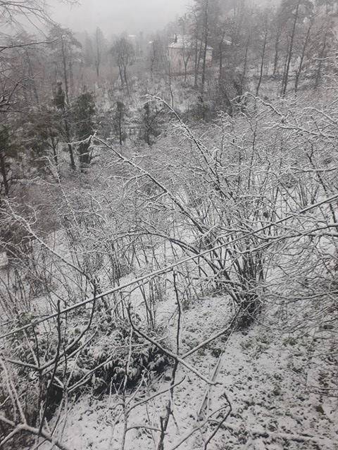 Altınordu Yeşilköy Köyü Resimleri 2