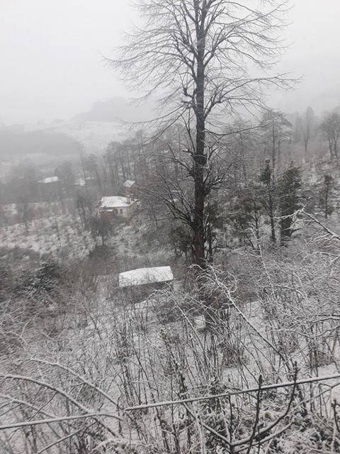 Altınordu Yeşilköy Köyü Resimleri 3