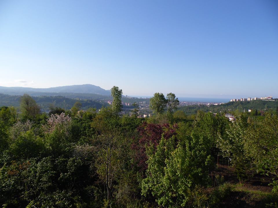 Altınordu Yıldızlı Köyü Resimleri 1