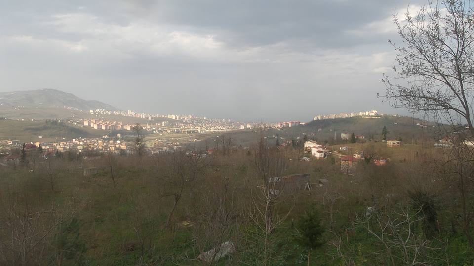 Altınordu Yıldızlı Köyü Resimleri 4