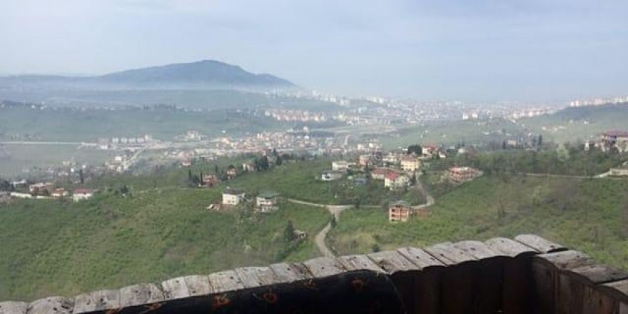 Altınordu Yıldızlı Köyü Resimleri