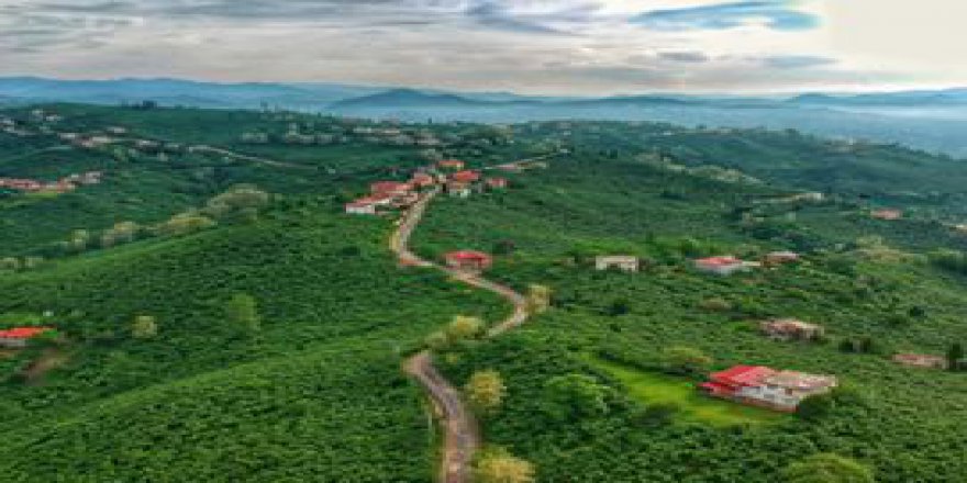 Altınordu Yukarıtepe Köyü Resimleri