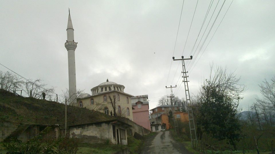 Altınordu Zafer Köyü Resimleri 1