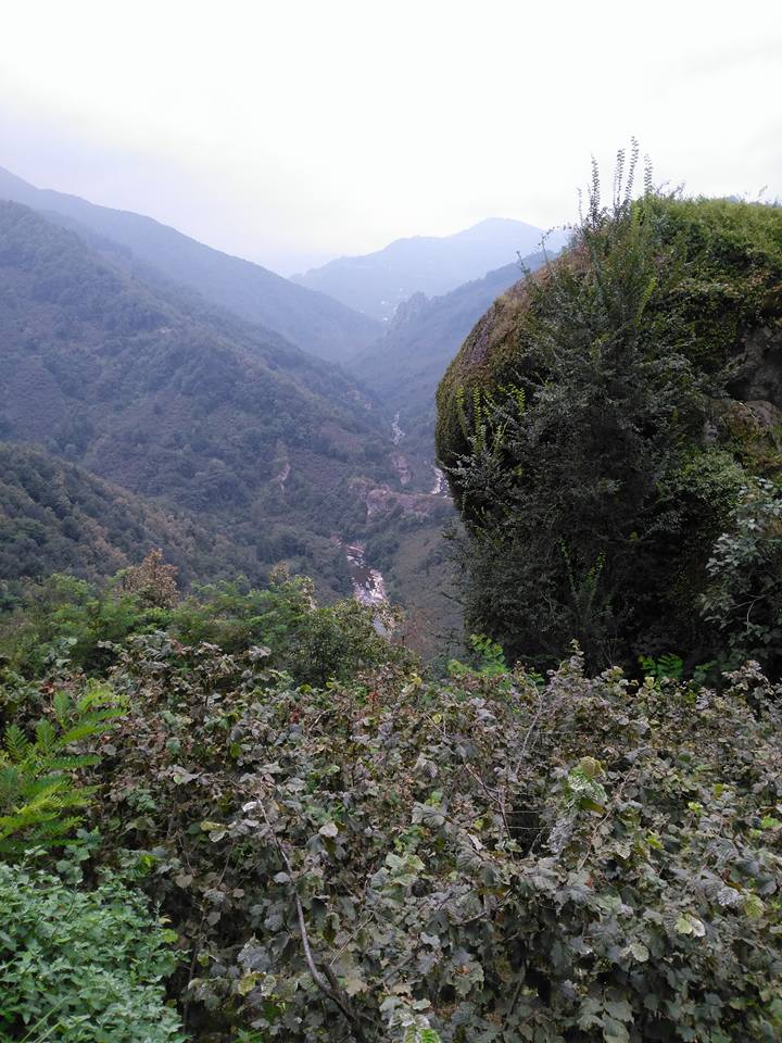 Altınordu Zafer Köyü Resimleri 11