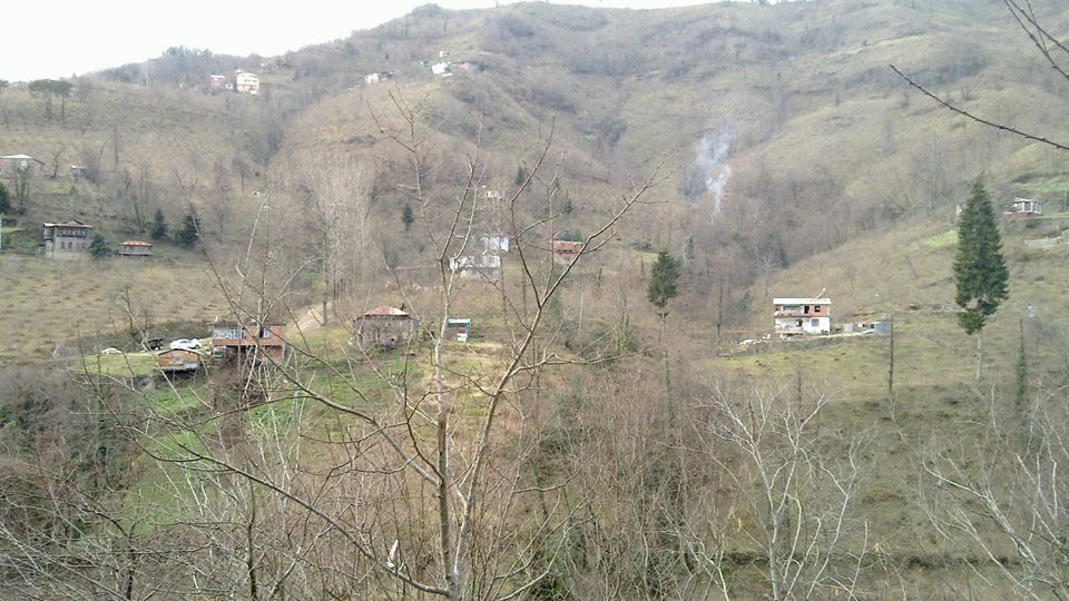 Altınordu Zafer Köyü Resimleri 3