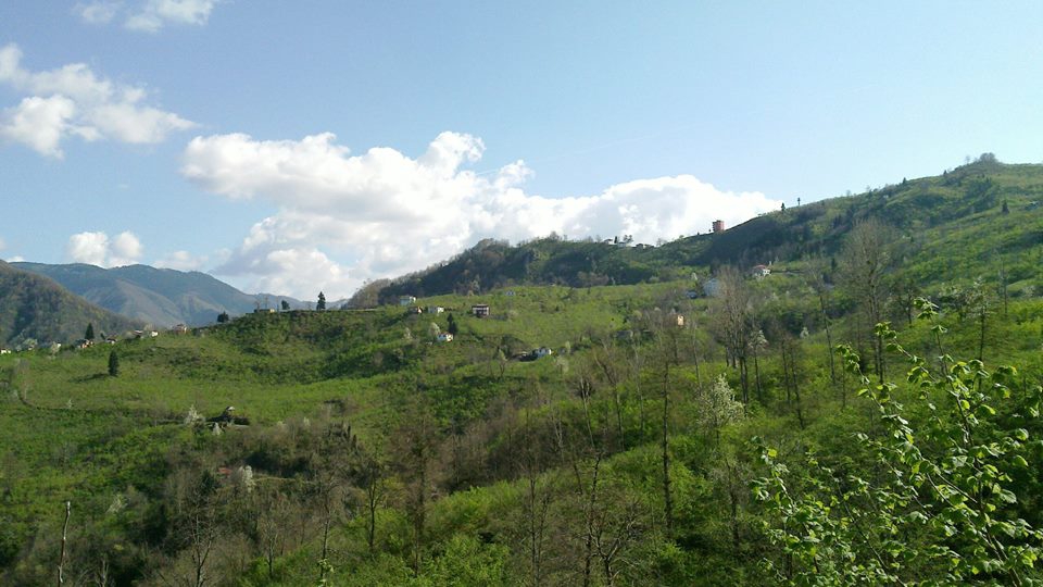 Altınordu Zafer Köyü Resimleri 4