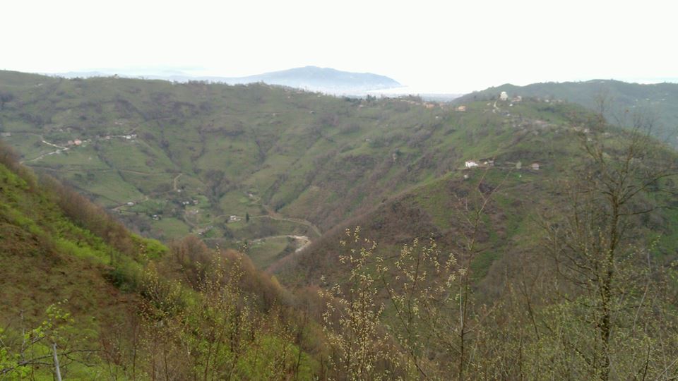 Altınordu Zafer Köyü Resimleri 5