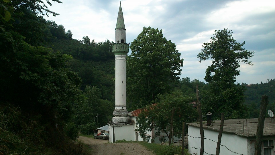 Altınordu Zafer Köyü Resimleri 6