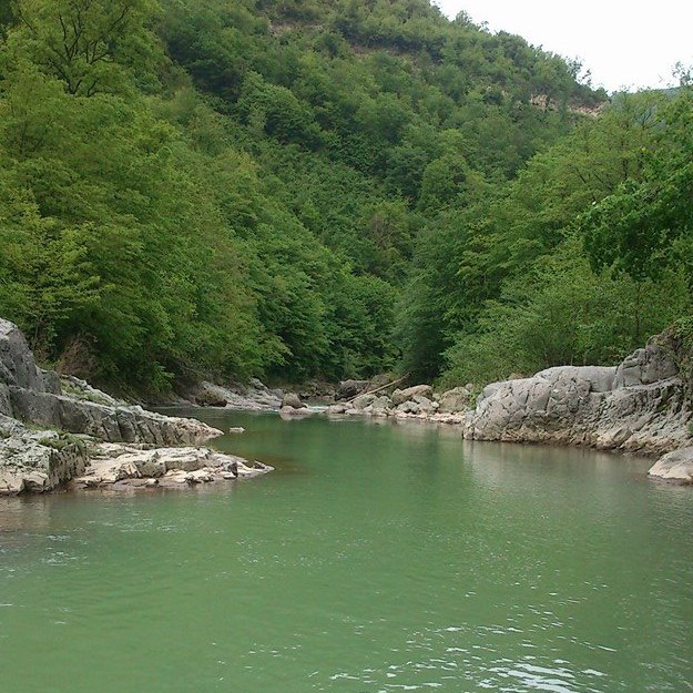 Altınordu Zafer Köyü Resimleri 7