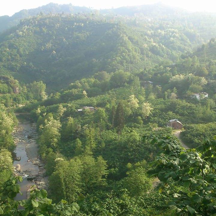 Altınordu Zafer Köyü Resimleri 8