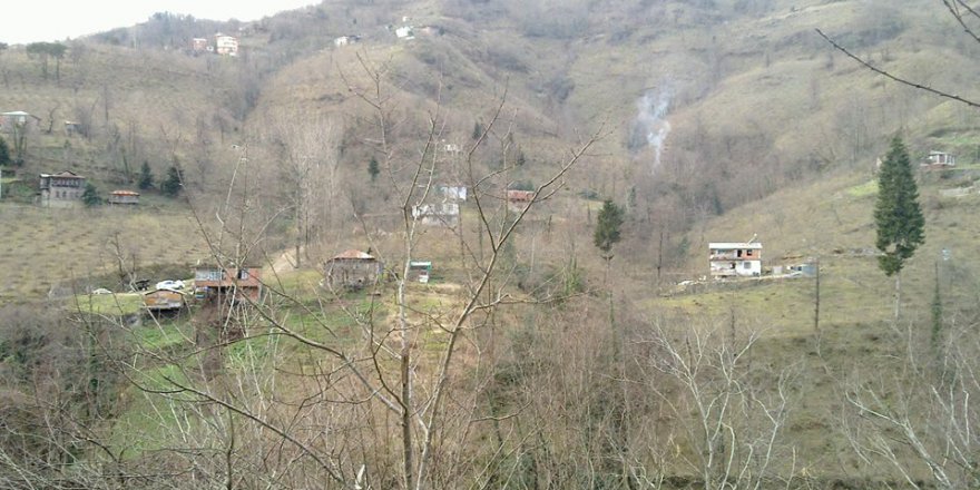 Altınordu Zafer Köyü Resimleri