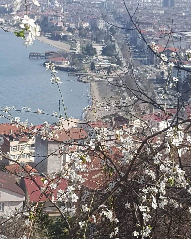 Altınordu Zaferimilli Köyü Resimleri 2